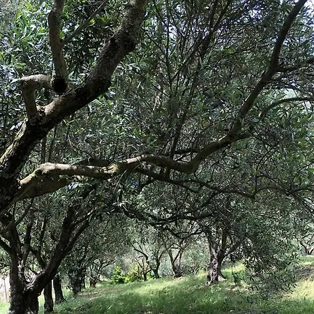 Mawi Holidays Bed & Breakfast San Cipirello